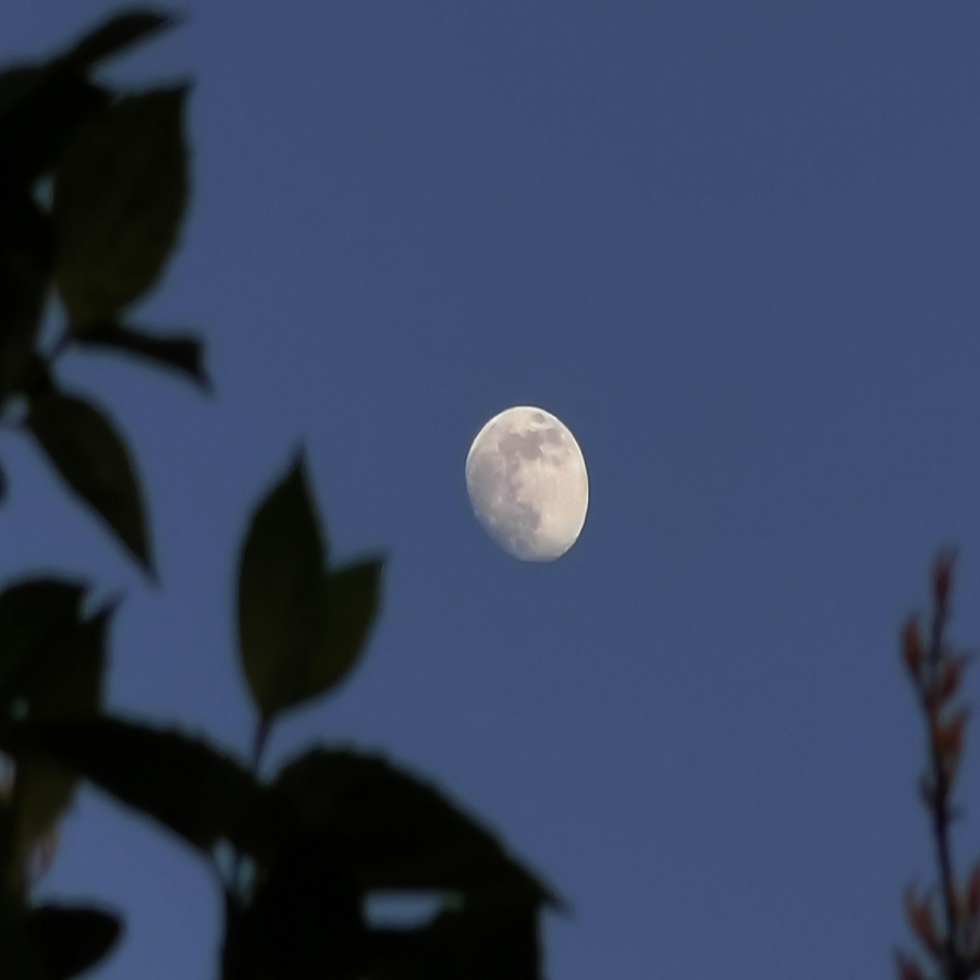 Photographing Moonrise with Your Smartphones Simplified